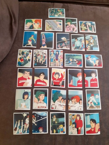 Panini lot 30 images - lot,