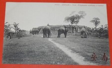 CPA CARTE POSTALE 1908 INDOCHINE COLONIE FRANCE ANNAM HUE ELEPHANTS ARENE