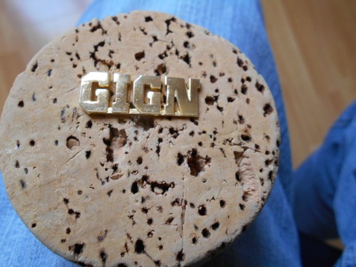 Pin gign groupe - gign,