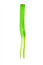 1 Clip-In Mèche Extension Extensions Cheveux Lisse 45cm Ombre Bicolore Vert