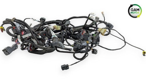 Faisceau électrique agusta - faisceau,