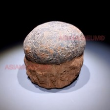 Dinosaure Oeuf Hadrosaur