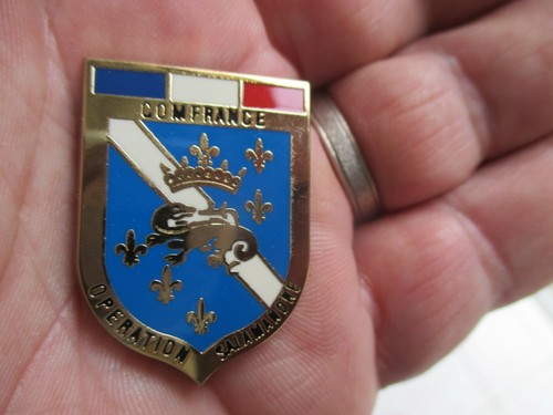 Insigne militaire tdm - insigne,