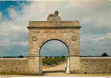 Vignes - Château Léoville Las Cases - Saint Julien Médoc - Grand cru classé - Le