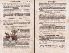 Haring Poisson Pêche Livre D'Herbes Zoologie Lonitzer 1564