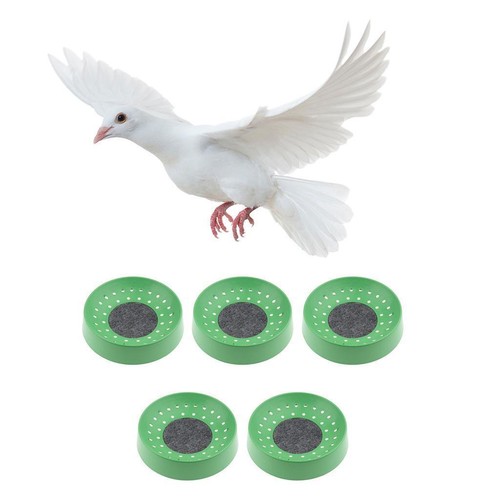 Nid pigeon de - de,