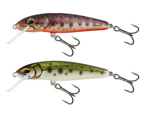 Salmo minnow - salmo,