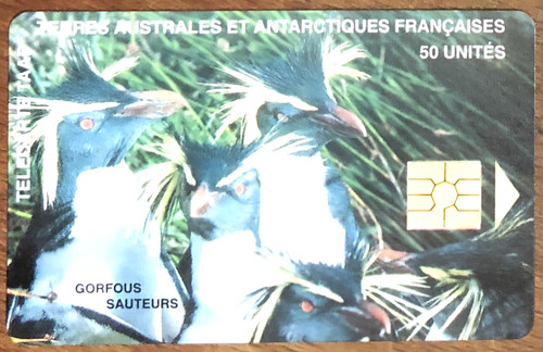 Taaf gorfous sauteurs - taaf,