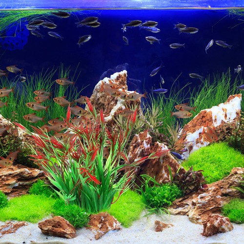 Pcs décorations aquarium - 2,
