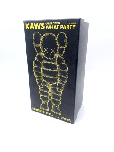 Kaws open edition what party - kaws,