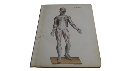 1850 lithographie couleur - 1850.lithographie,