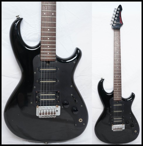 Aria pro wild cat noir - wild,