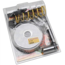 VARIATEUR MAXISCOOTER MALOSSI