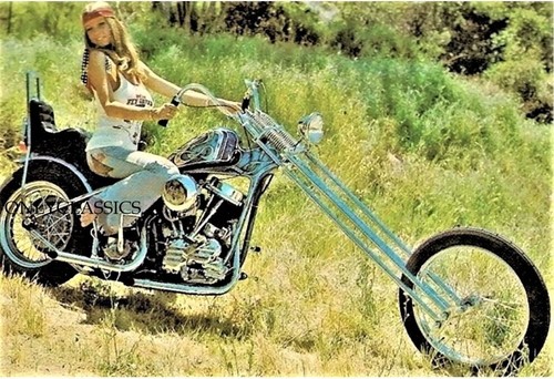 Roberta pedon harley davidson - roberta,