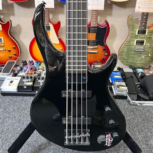 Epiphone tobias - by,