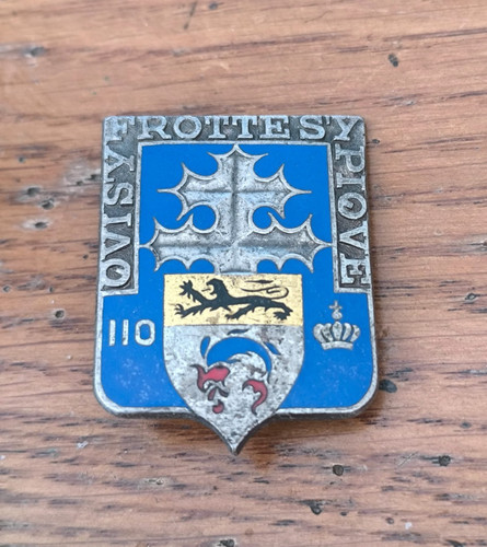 Insigne 110 régiment - insigne,