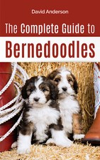 Bernedoodle Dog Book: The
