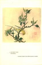 Publicité ancienne pharmaceutique no 2 Hu Yueh Tsung porte bonheur l'art chinois