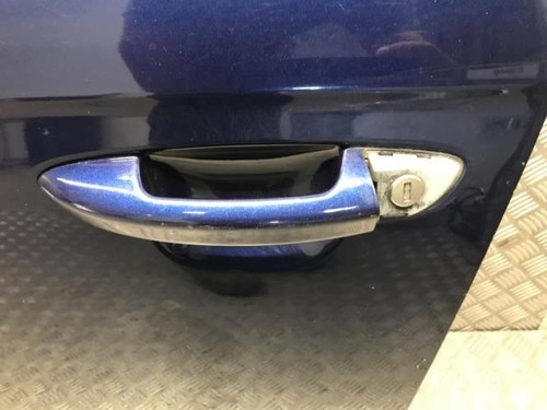 Porte avant gauche volkswagen - porte,
