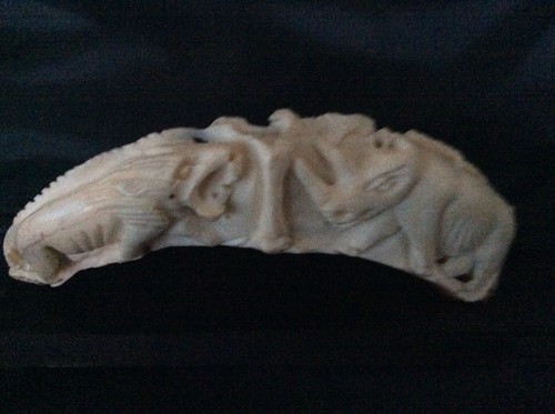 Dent phacochere sculptee - dent,