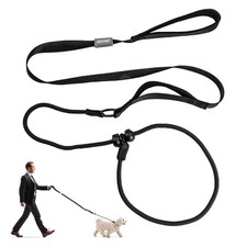 Laisse coulissante pour chien