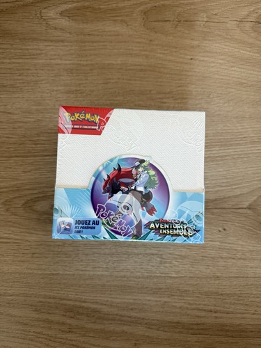 Pokemon display ev9 - pokemon,