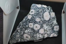 Diorite orbiculaire rose - orbiculaire, du