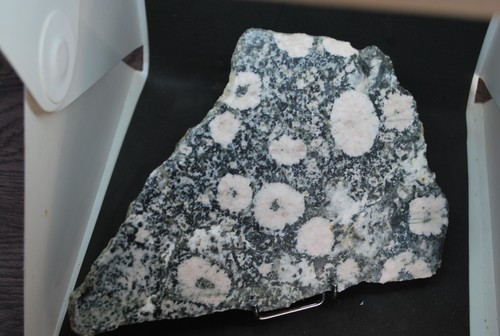 Diorite orbiculaire rose - orbiculaire, du