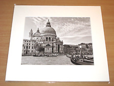 LUMAS PHOTO IMAGE - BASILIQUE