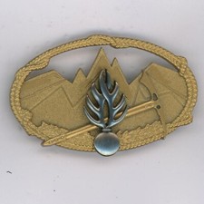 Brevet Technique Montagne Constable GDM