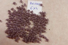 lot 1000 perle violet mauve