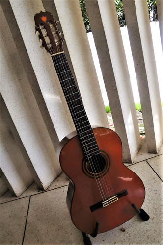 José ramirez elite - josé,