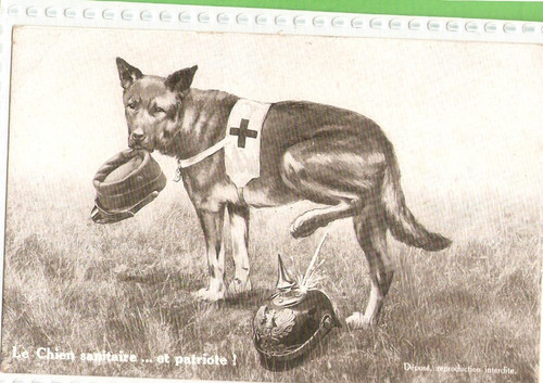 Guerre carte postale - carte,