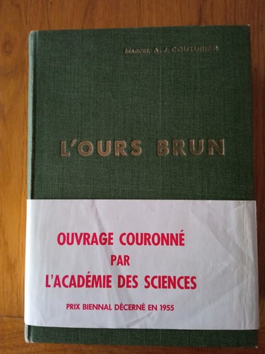 Ours brun marcel - brun, de