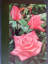 Les roses de nos jardins.