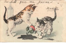 Animaux - Chat jouant avec un