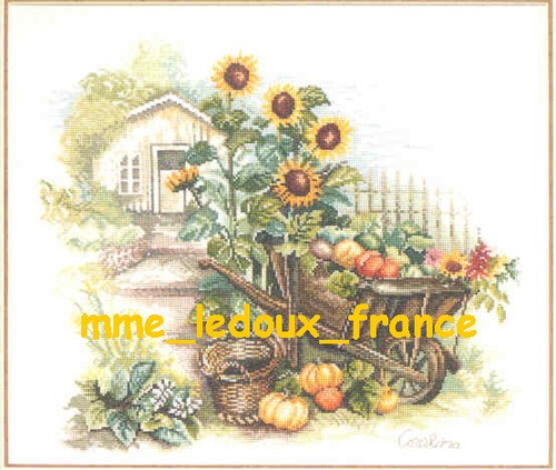 Sunflowers wheelbarrow kit - sunflowers,