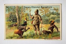 Ancien Chromo No 4 Robinson