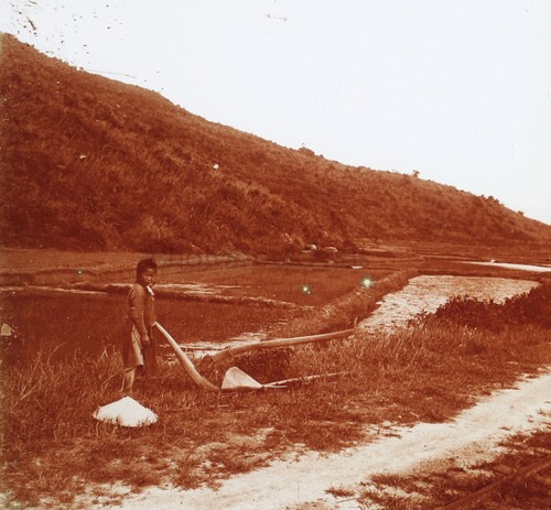 Vietnam annam charrue baie - annam,