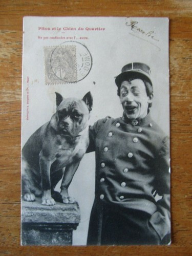 Cpa pitou chien - pitou,