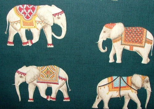 Jaipur indien éléphant - jaipur,