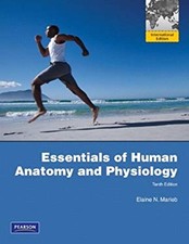 Essentiels De L'Anatomie