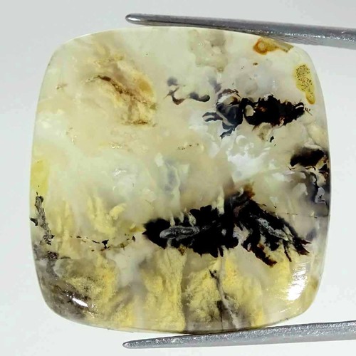 00cts naturel tigre - 46.00cts,
