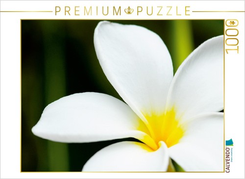 Calvendo puzzle frangipani - puzzle,