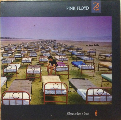 Pink floyd momentary - floyd, lapse
