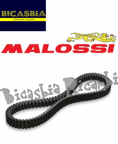 13012 courroie malossi - -,