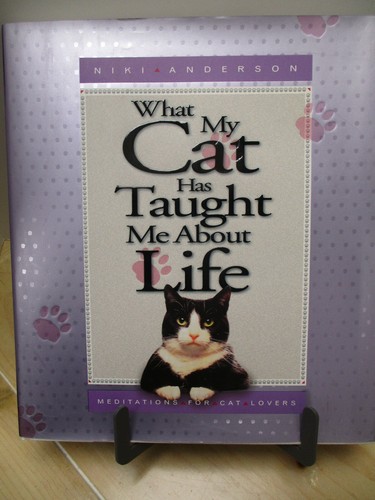 What cat has taught me - what,