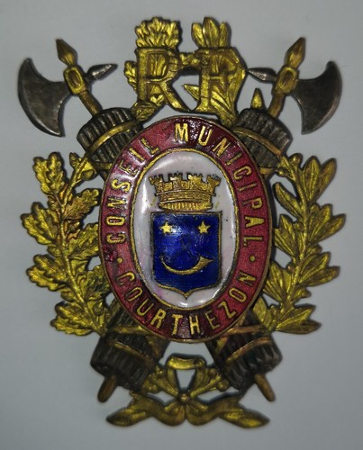Insigne fonction conseil - insigne,