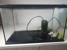 aquarium complet. matériel