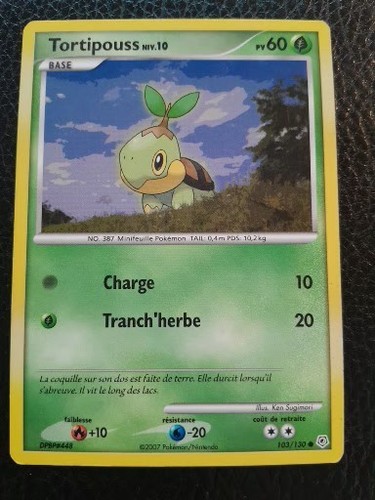 Carte pokémon tortipouss - pokémon,